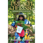 Preach Cherisse, Inspirational Messages To Feed The Soul - Paperback