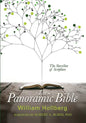 The Panoramic Bible: The Storyline of Scripture - Paperback