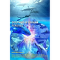 Dolphins & Whales Forever - Paperback