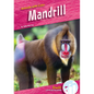Mandrill - Library Binding