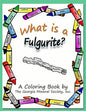 What Is a Fulgurite?: A Coloring Book by the Georgia Mineral Society, Inc. - Paperback