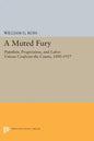 A Muted Fury: Populists, Progressives, and Labor Unions Confront the Courts, 1890-1937 - Paperback