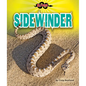 Sidewinder - Library Binding