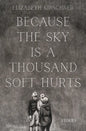 Because the Sky is a Thousand Soft Hurts - Paperback