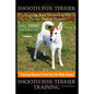 Smooth Fox Terrier Training Book for Smooth Fox Terrier Dogs & Puppies By D!G THIS DOG Training, Training Begins from the Car Ride Home, Smooth Fox Te - Paperback