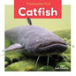 Catfish - Library Binding
