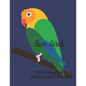 Love birds: Bird breeding production record - Paperback