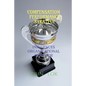 Compensation Performance Strategy: How Influences Organizational Behavior - Paperback