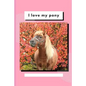 I Love My Pony: Write and Draw About Your Pony - Paperback