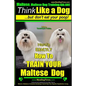Maltese, Maltese Dog Training AAA AKC: Think Like a Dog But Don'T Eat Your Poop! Maltese Breed Expert Training: Here's EXACLTY How To TRAIN Your Malte - Paperback