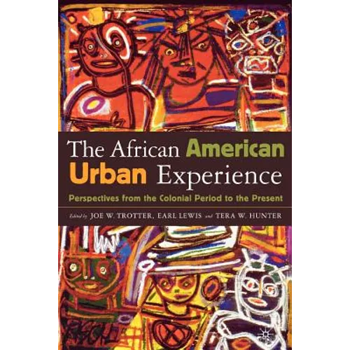 African American Urban Experience: Perspectives from the Colonial Period to the Present - Paperback