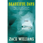 Beautiful Days: Stories - Paperback