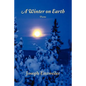 A Winter on Earth - Paperback