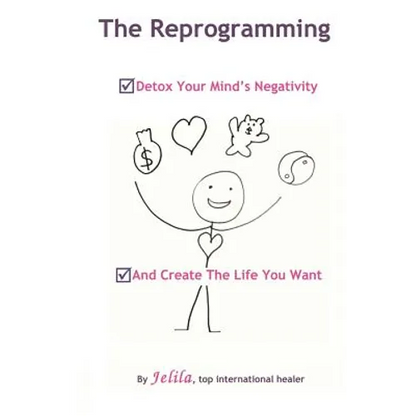 The Reprogramming: Detox your Mind's Negativity and Create the Life you Want - Paperback