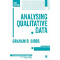 Analyzing Qualitative Data - Paperback
