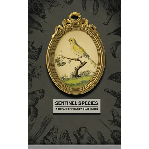 Sentinel Species - Paperback