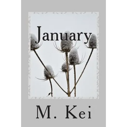 January: A Tanka Diary - Paperback