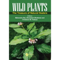 Wild Plants: The Treasure of Natural Healers - Paperback