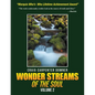 Wonder Streams Of The Soul: Volume 2 - Paperback