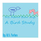 All About Blue Jay: A Bird Study - Paperback