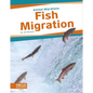 Fish Migration - Paperback