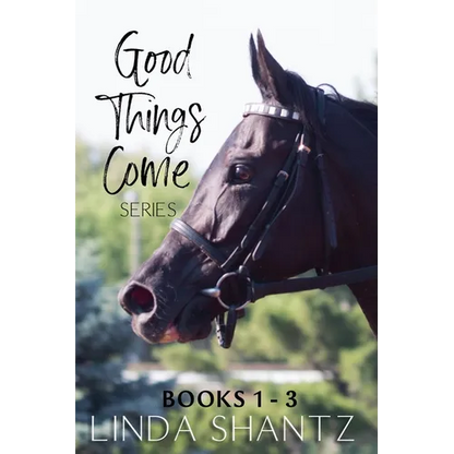 The Good Things Come Series: Books 1-3 - Paperback
