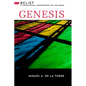 Genesis: Belief: A Theological Commentary on the Bible - Hardcover