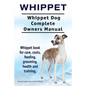 Whippet. Whippet Dog Complete Owners Manual. Whippet book for care, costs, feeding, grooming, health and training. - Paperback