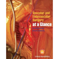 Vascular and Endovascular Surgery at a Glance - Paperback