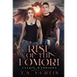 Rise of the Fomori: A Young Adult Urban Fantasy Adventure - Paperback