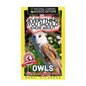 Everything You Should Know About: Owls Faster Learning Facts - Paperback
