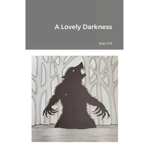 A Lovely Darkness - Paperback