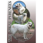 The Great Pyrenees: A Complete and Comprehensive Owners Guide To: Buying, Owning, Health, Grooming, Training, Obedience, Understanding and - Paperback