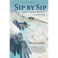 Sip by Sip: Candid Conversations with Adults Living with FASD - Paperback