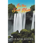 In the Sweet Night - Paperback
