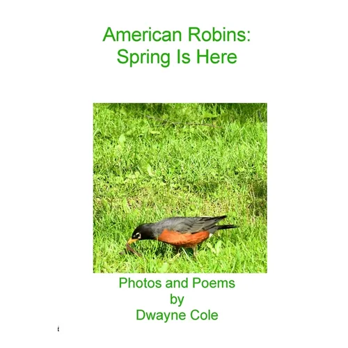 American Robins - Paperback
