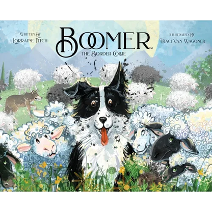 Boomer the Border Collie - Hardcover