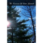 The Exercises Of Saint Gertrude: Virgin And Abbess Of The Order Of St. Benedict - Paperback