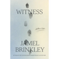 Witness: Stories - Hardcover