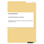 Can the Eurozone survive?: Potential prospects for the Euro as common currency beyond the sovereign-debt crisis - Paperback