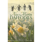 Daffodils: Katy always longed for freedom, but never expected the price would be so high - Paperback
