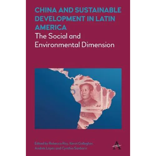China and Sustainable Development in Latin America: The Social and Environmental Dimension - Paperback