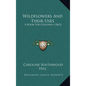 Wildflowers And Their Uses: A Book For Children (1863) - Hardcover