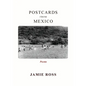 Postcards from Mexico: Poems - Paperback