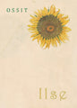 Ilse - Paperback