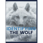 Identifying The Wolf: Shedding Light on the Grooming Behaviours of Sexual Predators - Hardcover