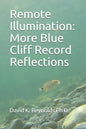 Remote Illumination: More Blue Cliff Record Reflections - Paperback