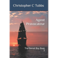 Agent Provocateur: The Dorset Boy Book 3 - Paperback