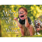 Why Does Why Equal Wow? - Paperback