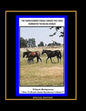 The Thoroughbred Female Families That Have Dominated The Racing World - Paperback